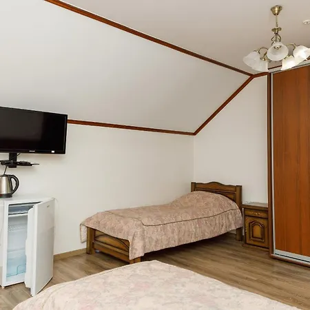 Gostyniy Dvir Synevir Hotel 3*