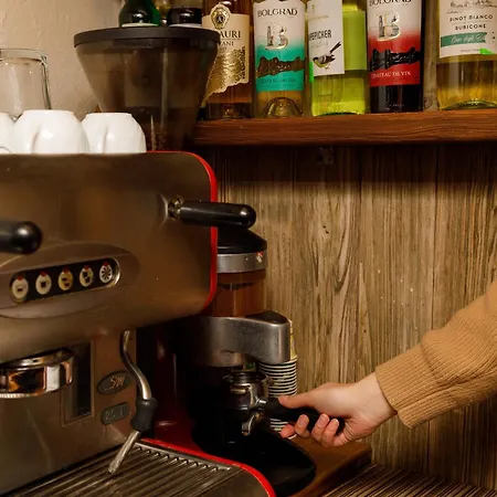 Gostyniy Dvir Synevir Hotel Synevyr