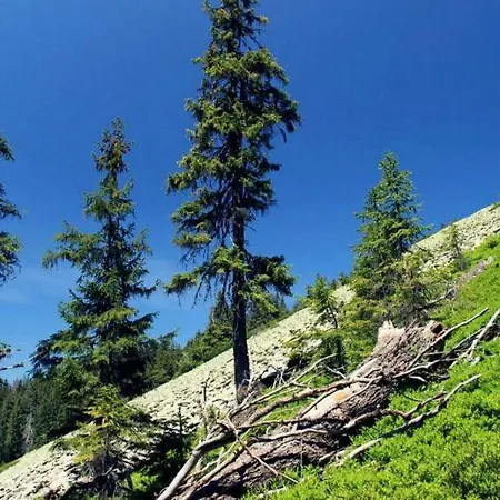 Gostyniy Dvir Synevir Hotel Synevyr