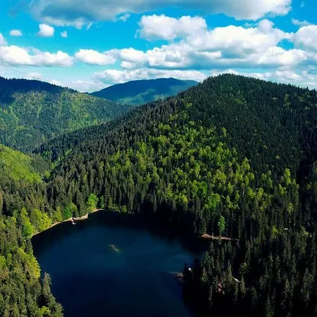 Gostyniy Dvir Synevir Hotel Synevyr