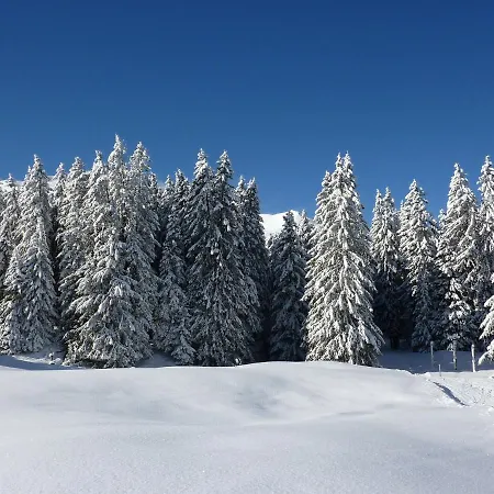 Otel Gostyniy Dvir Synevir 3*