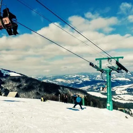 Gostyniy Dvir Synevir 3*