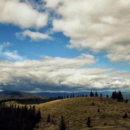 Otel Gostyniy Dvir Synevir Synevyr