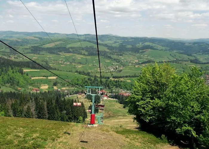 Gostyniy Dvir Synevir