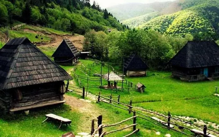 Gostyniy Dvir Synevir