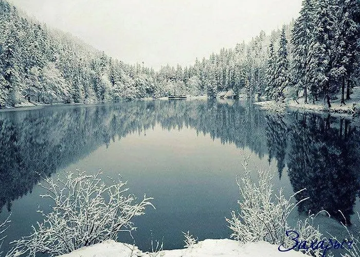 Gostyniy Dvir Synevir 3* Synevyr
